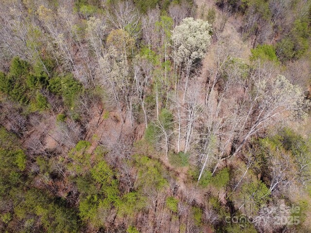 00 Snowhill Church Rd, Morganton, NC 28655 - photo 11
