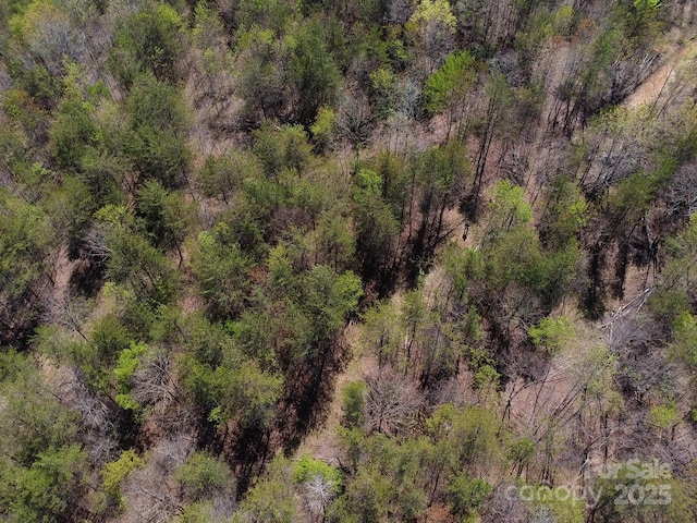 00 Snowhill Church Rd, Morganton, NC 28655 - photo 16