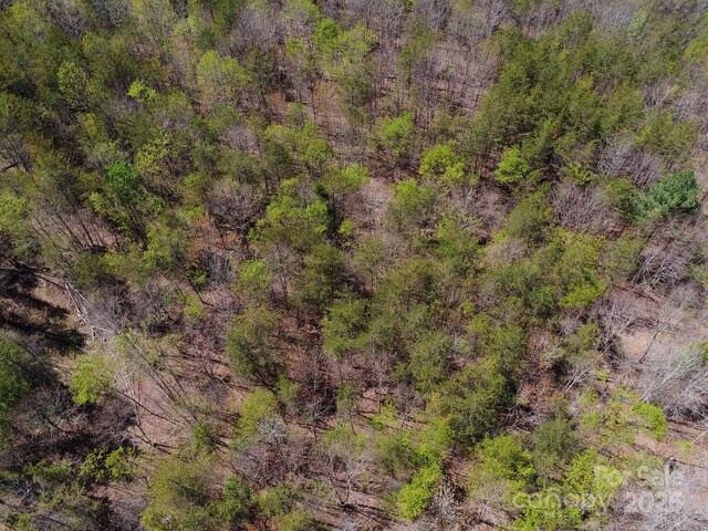 00 Snowhill Church Rd, Morganton, NC 28655 - photo 18