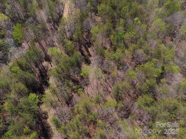 00 Snowhill Church Rd, Morganton, NC 28655 - photo 19