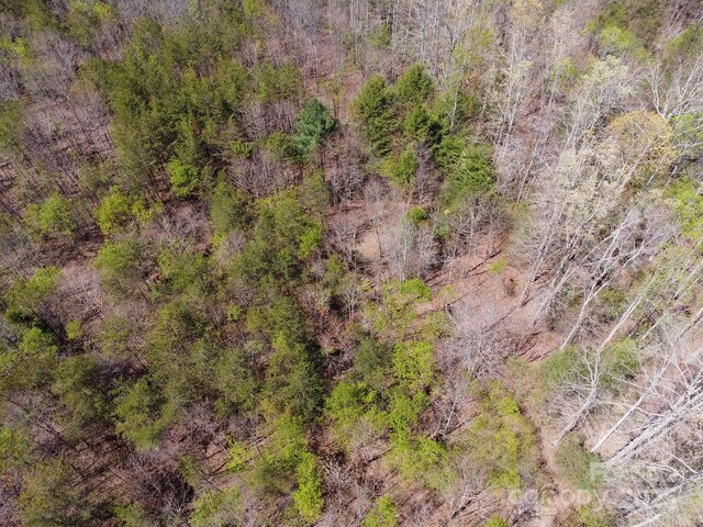 00 Snowhill Church Rd, Morganton, NC 28655 - photo 22
