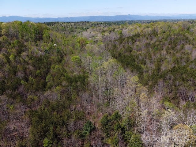 00 Snowhill Church Rd, Morganton, NC 28655 - photo 23
