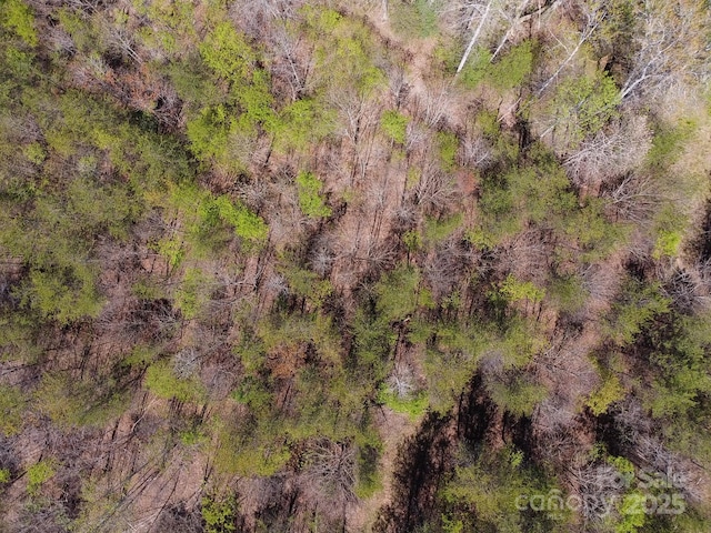 00 Snowhill Church Rd, Morganton, NC 28655 - photo 24