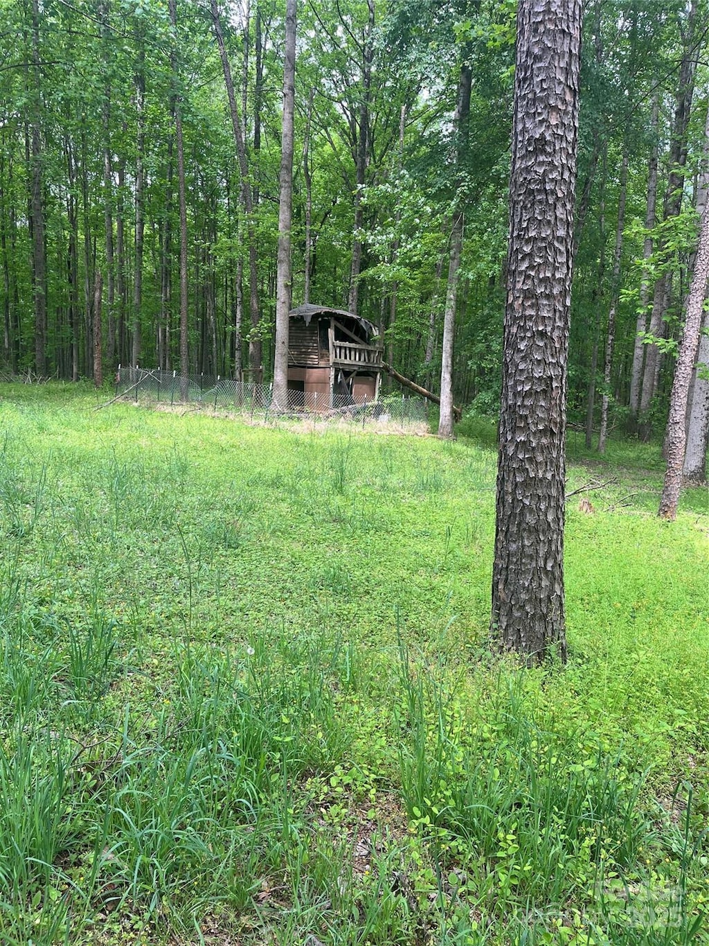 208 James Dr, Cleveland, NC 27013 - view of yard with a wooded view