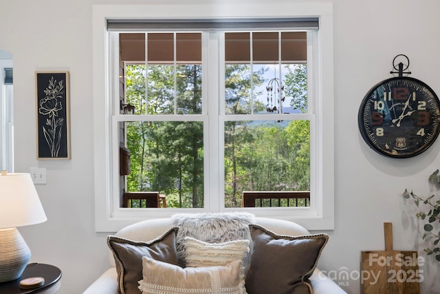 9 Oak Mountain Dr, Leicester, NC 28748 - living area with plenty of natural light