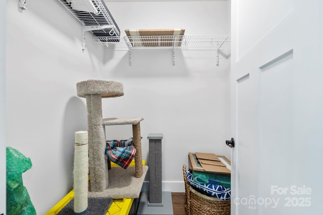 9 Oak Mountain Dr, Leicester, NC 28748 - walk in closet featuring wood finished floors
