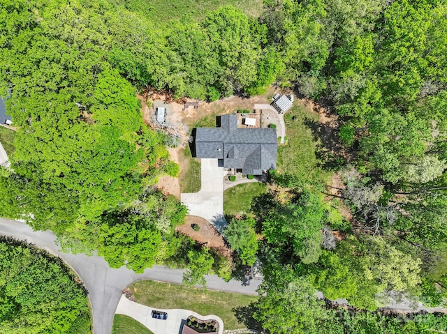 9 Oak Mountain Dr, Leicester, NC 28748 - view of subject property