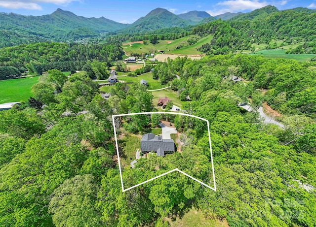 9 Oak Mountain Dr, Leicester, NC 28748 - aerial overview of property's location featuring property boundaries highlighted, a heavily wooded area, and a mountainous background
