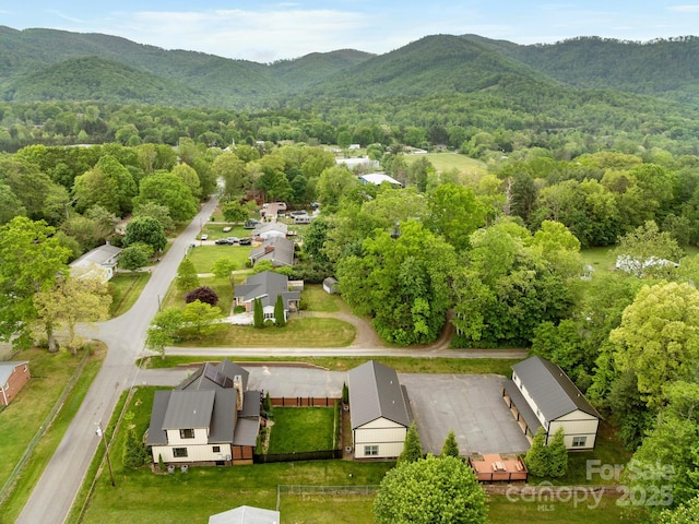 bird's eye view of a mountainous background and a heavily wooded area