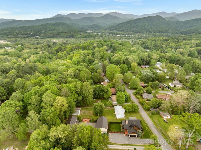 aerial view of a mountainous background and a forest