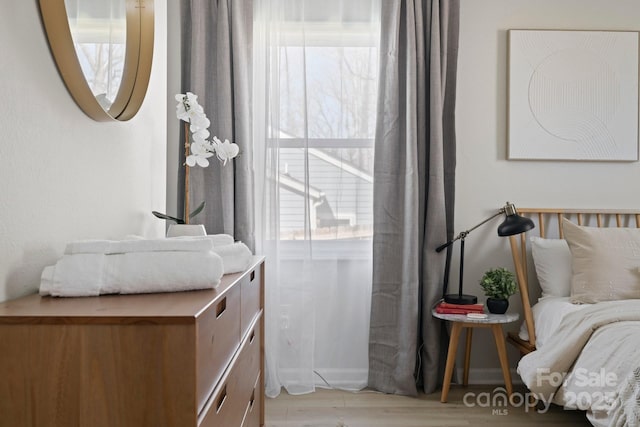 192 Duckworth Ave, Brevard, NC 28712 - bedroom featuring light wood-type flooring