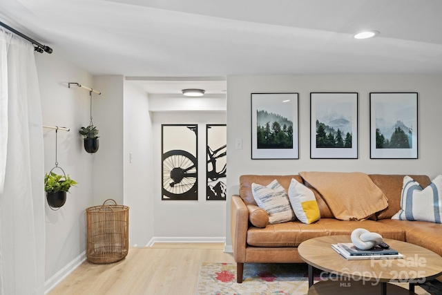 192 Duckworth Ave, Brevard, NC 28712 - living room featuring light wood-type flooring and recessed lighting