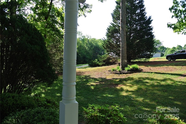 177 Line Dr, Forest City, NC 28043 - view of yard