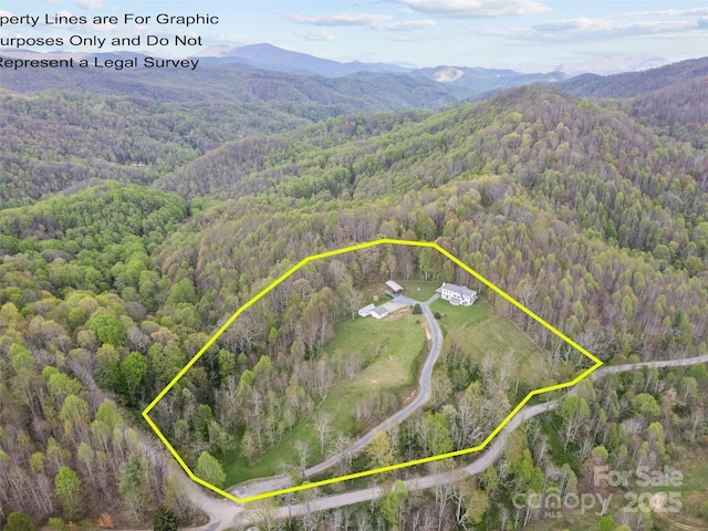 6780 Max Patch Rd, Clyde, NC 28721 - aerial view featuring a mountain view and a forest view