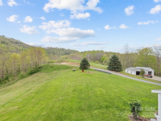 6780 Max Patch Rd, Clyde, NC 28721 - view of yard featuring a view of trees