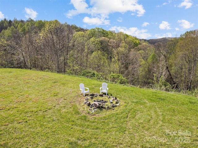 6780 Max Patch Rd, Clyde, NC 28721 - view of yard with a wooded view and a fire pit