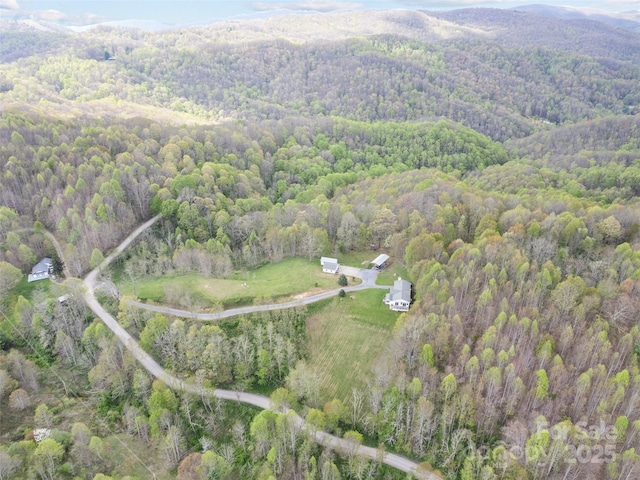 6780 Max Patch Rd, Clyde, NC 28721 - drone / aerial view with a view of trees and a mountain view