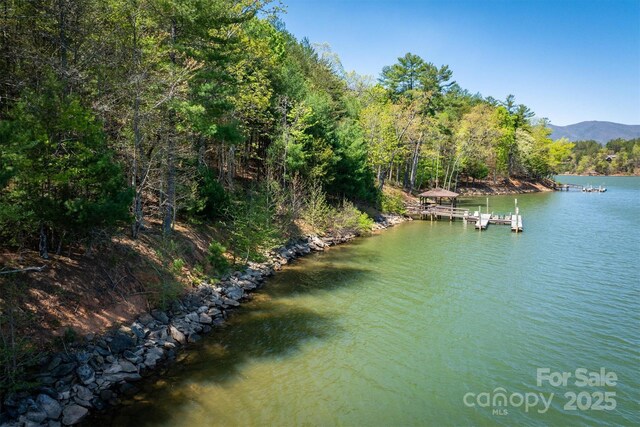 451 Hunt Camp Dr Unit 75, Nebo, NC 28761