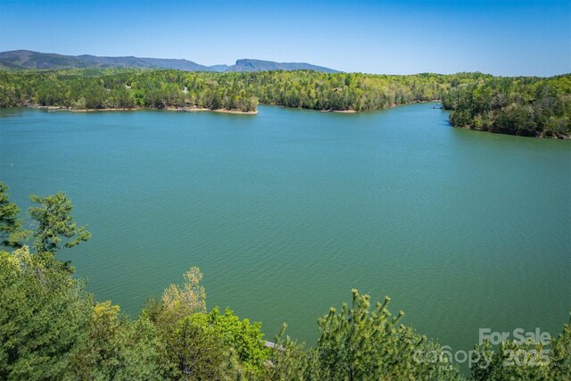 451 Hunt Camp Dr Unit 75, Nebo, NC 28761