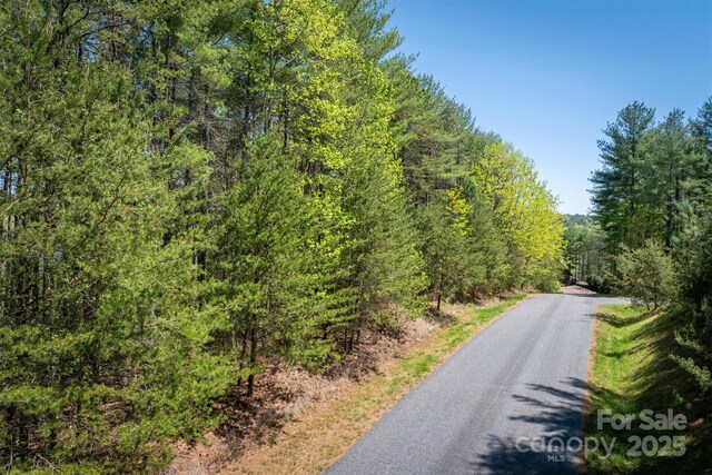 451 Hunt Camp Dr Unit 75, Nebo, NC 28761