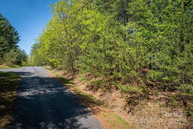 451 Hunt Camp Dr Unit 75, Nebo, NC 28761