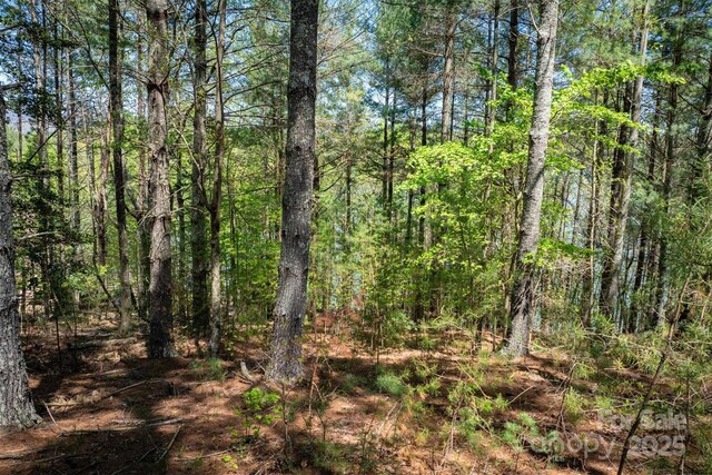 451 Hunt Camp Dr Unit 75, Nebo, NC 28761