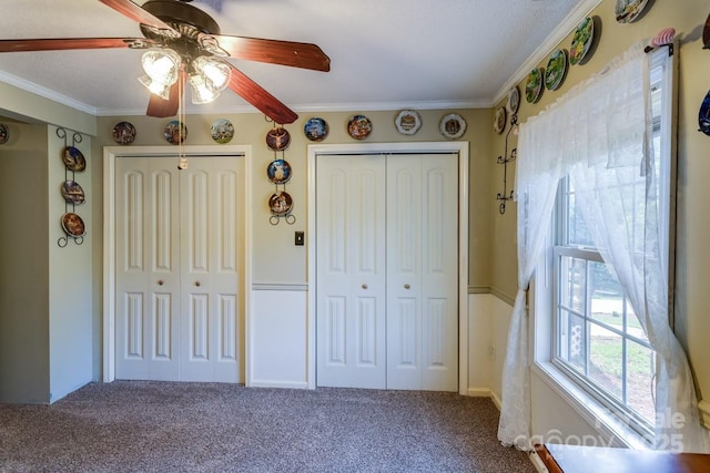 unfurnished bedroom with carpet floors, crown molding, multiple closets, and ceiling fan