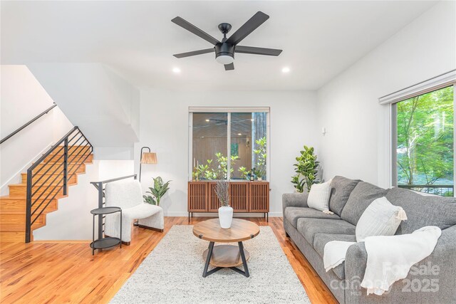 79 Euclid Blvd, Asheville, NC 28806 - photo 7
