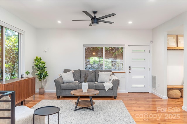 79 Euclid Blvd, Asheville, NC 28806 - photo 9