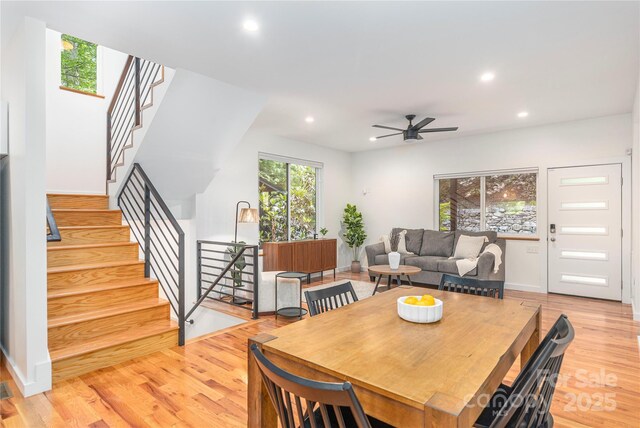 79 Euclid Blvd, Asheville, NC 28806 - photo 11