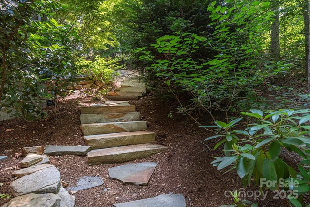 79 Euclid Blvd, Asheville, NC 28806 - photo 34