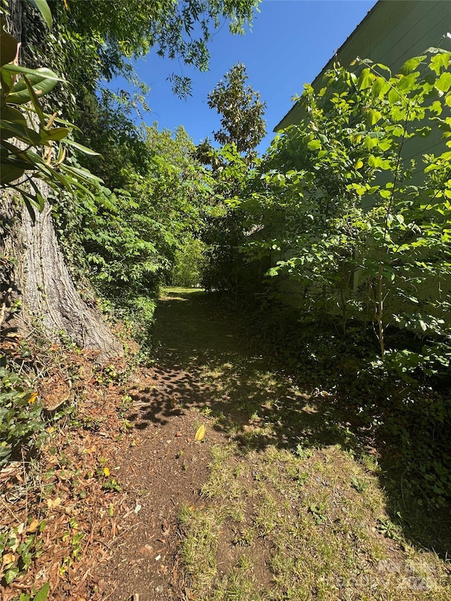 view of nature