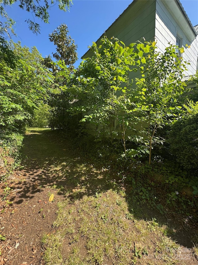 view of nature