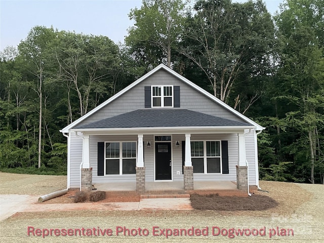 view of front of house featuring roof with shingles and a porch