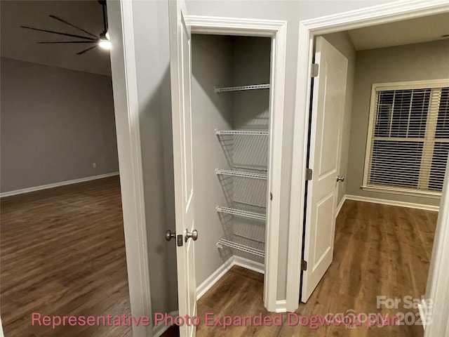 view of closet
