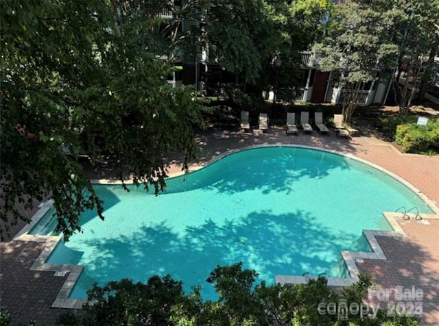 525 N Graham St Unit 3F, Charlotte, NC 28202 - view of community pool