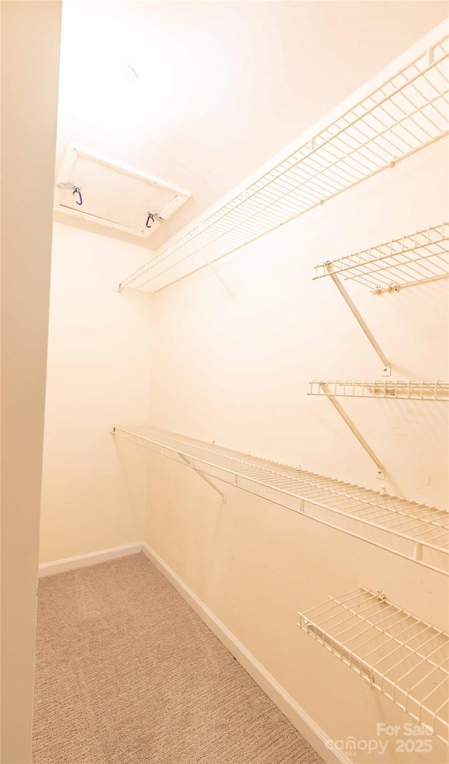 525 N Graham St Unit 3F, Charlotte, NC 28202 - walk in closet featuring light colored carpet