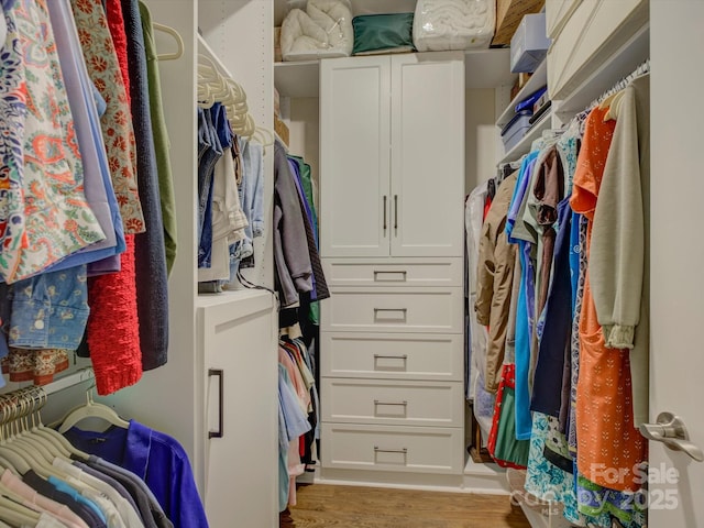 walk in closet featuring light wood-style flooring