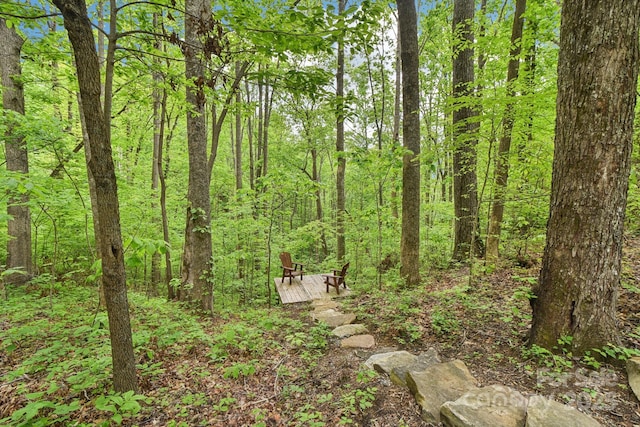 675 Terrys Gap Rd, Hendersonville, NC 28792 - view of wooded area