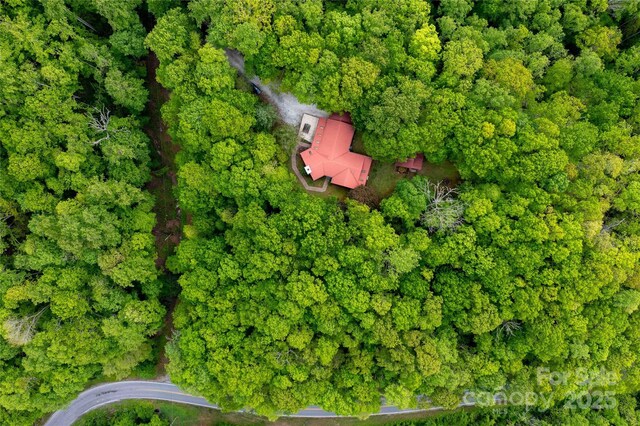 675 Terrys Gap Rd, Hendersonville, NC 28792 - view of property location