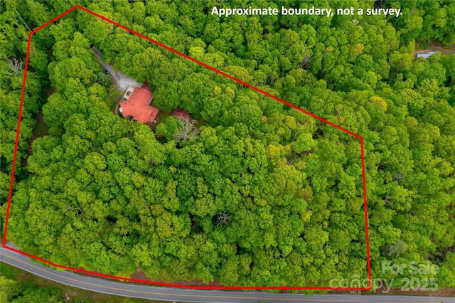 675 Terrys Gap Rd, Hendersonville, NC 28792 - aerial view of property's location with property boundaries highlighted and a heavily wooded area