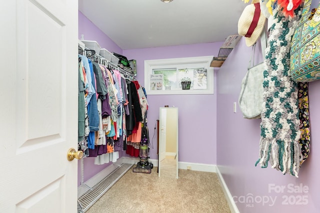 walk in closet featuring carpet flooring