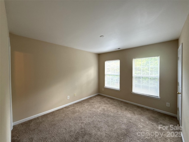 3527 Creeping Flora Ln, Charlotte, NC 28216 - photo 18