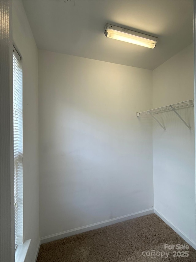 3527 Creeping Flora Ln, Charlotte, NC 28216 - photo 21