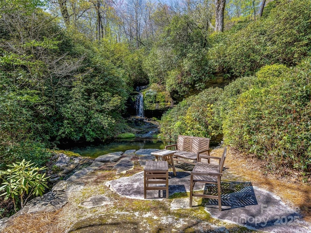 view of yard featuring a patio area