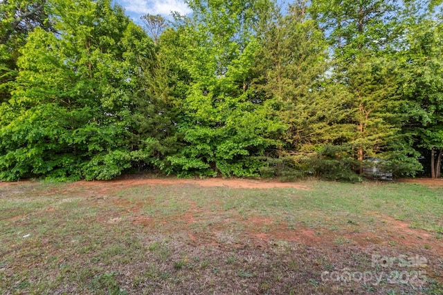 7616 Monarch Birch Ln, Charlotte, NC 28215 - view of yard