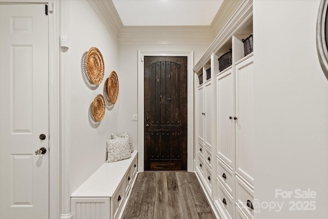 mudroom with dark wood finished floors and ornamental molding