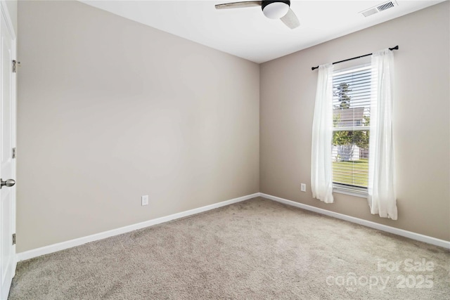 217 Hydrangea Dr, Clover, SC 29710 - photo 12