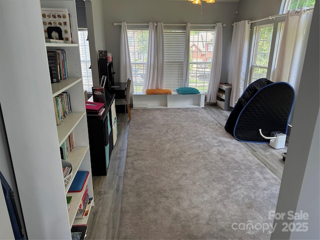 12244 Wallace Ridge Dr, Charlotte, NC 28269 - living area with wood finished floors