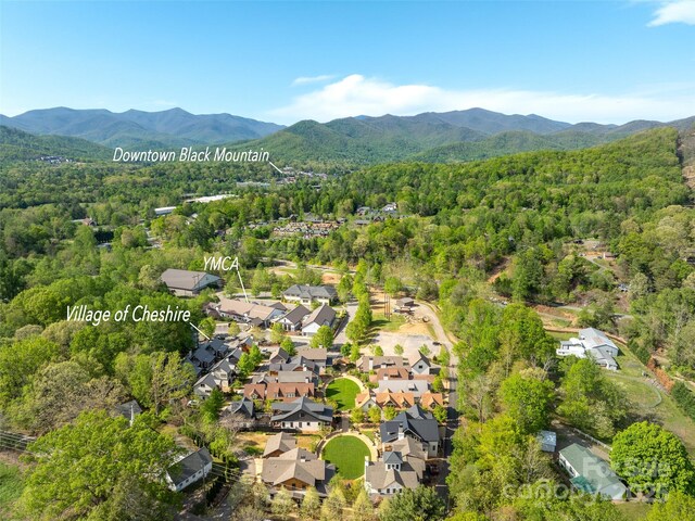 20 Fay Jones Ln, Black Mountain, NC 28711